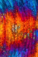 Abstract micrograph of a fish scale from a yellowfin tuna.