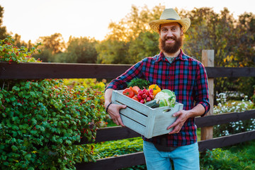 Young 30-35 years old young bearded man male farmer hat with box fresh ecological vegetables garden background sunset.