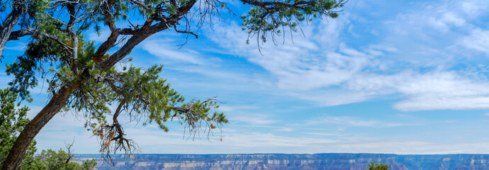 Panoramic view along the south rim of Grand Canyon National Park with cirrus clouds in a blue sky.