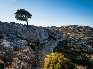 Hiking Mallorca