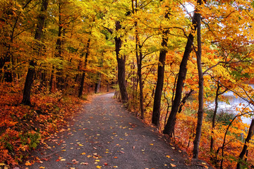 Path into autumn park
