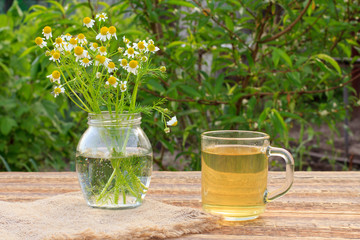 Glass cup of green tea with white chamomile flowers in a glass jar outdoor.
