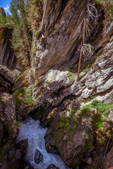 Fototapeta na wymiar Klamm in Felsen mit rauschendem Wildwasserbach und Nadelbäumen am Rand