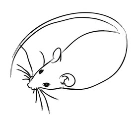 Silhouette of white mouse
