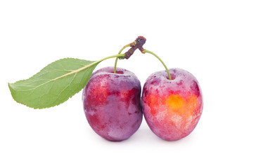 Ripe plums with leaves close up on white background