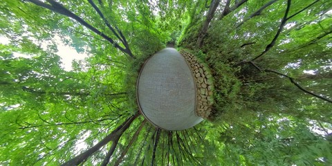 Gyeongju, South Korea 27 August 2019: Little planet 360 panorama_Arboretum and Forest_World...