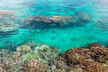 Naklejka na ściany i meble ニューカレドニア ロイヤルティ諸島　マレ島　ノード湾のサンゴ礁