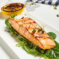 Salmon Grill Steak