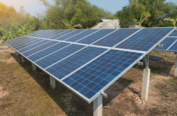 photovoltaic using renewable solar energy in forest
