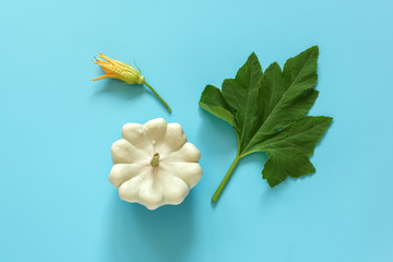 Fresh white pattypan squash with green leaf and flower on blue background. Concept Organic bush pumpkin vegetable. Copy space Top view Flat lay