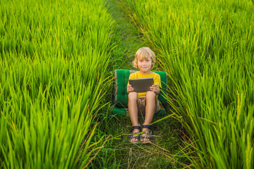 Naklejka na ściany i meble Happy child sitting on the field holding tablet. Boy sitting on the grass on sunny day. Home schooling or playing a tablet