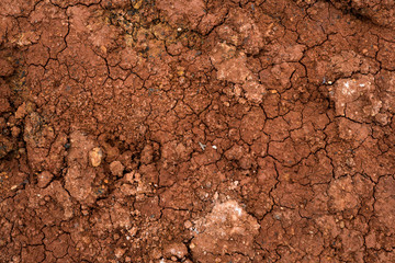 Texture of dried cracked clay. Macro background image of dried clay