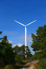 Fototapeta na wymiar Kappelshamn, Gotland, Sweden A wind turbine in the forest