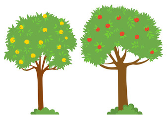 Harvesting vector, isolated trees red and yellow apples. Garden with plants and bushes, foliage and branches. Summer or autumn season picking fruits outside. Picking apples concept. Flat cartoon