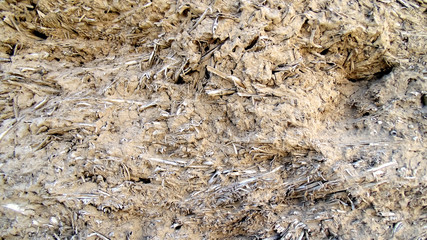 Clay wall texture