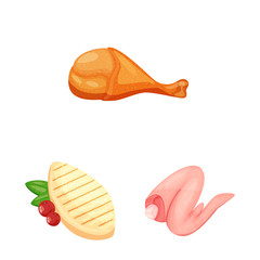 Vector illustration of meat and raw symbol. Collection of meat and grilled vector icon for stock.
