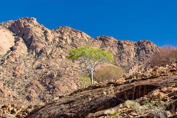 Brandberg mountain landscape in place, with White Lady rock paintings. Namibia, Africa wilderness