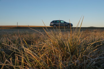 Auto hinter Gras