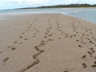 Footprints in the Sand