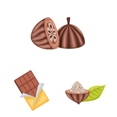 Isolated object of cocoa and beans logo. Set of cocoa and sweetness vector icon for stock.