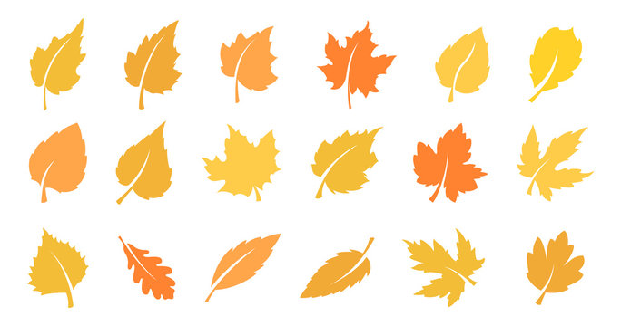 Autumn leaf set