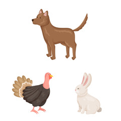 Vector design of farm and food symbol. Collection of farm and countryside stock vector illustration.