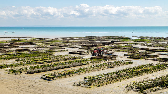 Cancale coast at low tide in a summer day, oyster farms in the foreground. Cancale is the oyster farming centre and seaside resort in Brittany, France.