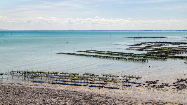 Cancale coast at low tide in a summer day, oyster farms in the foreground. Cancale is the oyster farming centre and seaside resort in Brittany, France.
