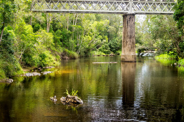Railway bridge over tranquil stream near Kuranda in Tropical North Queensland, Australia