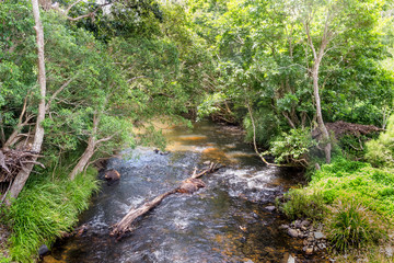 Creek near Kuranda in Tropical North Queensland, Australia