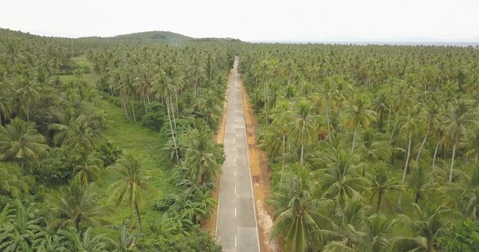 Long road in Siargao between palmtrees cinematic droneshot 4k