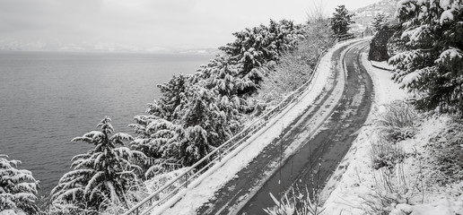 Obraz premium Winter landscape.