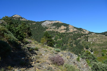 montagne avec cailloux et paroi