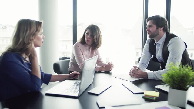 A group of business people with laptop sitting in an office, talking.