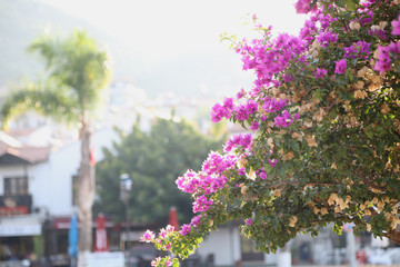 seaside town and fishing boats