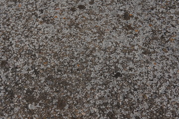 Textura granito