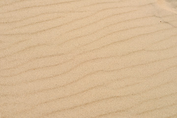 Fototapeta na wymiar abstract texture line wave sand on the beach - nature background