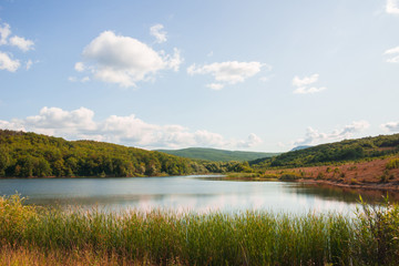 Fototapeta na wymiar Coastal summer landscape. Small lake