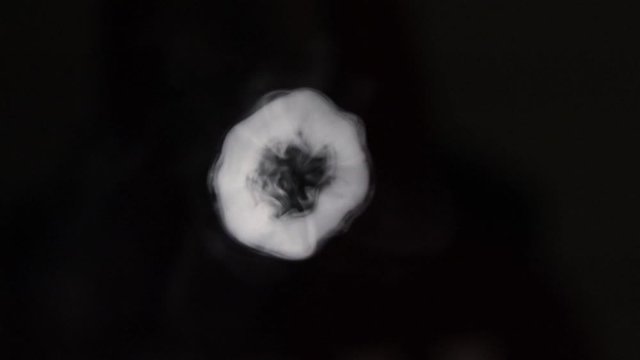 Many smoke vape vortex rings moving towards screen with shallow focus in a dark background, macro close up slow motion isolated