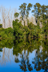 Landscape with lake, trees and grass, reflections in the water. Blue sky in the background.