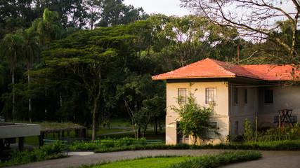 Jardim Botânico de São Paulo