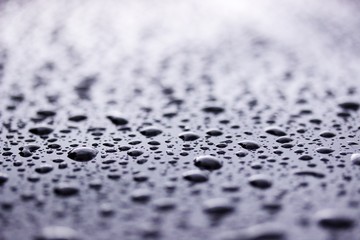 Tautropfen Regen Wasser Tropfen