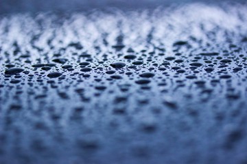 Tautropfen Regen Wasser Tropfen