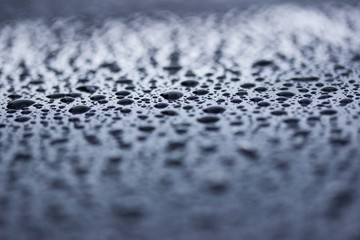 Tautropfen Regen Wasser Tropfen