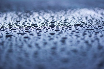 Tautropfen Regen Wasser Tropfen