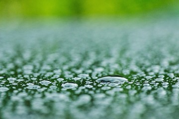 Tautropfen Regen Wasser Tropfen