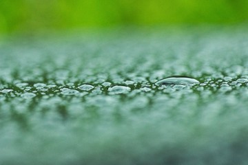 Tautropfen Regen Wasser Tropfen