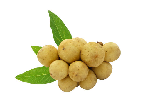 Bunch of longgong with green leaf isolated on white background with clipping path..