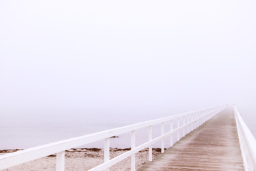 Misty Autumn day by the sea 