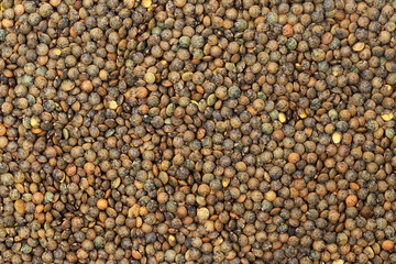Flatlay closeup image of brown lentils as a natural healthy food background.